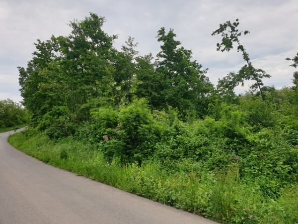 kuce i placevi okolina beograda na avali,plac na avali parcani 1