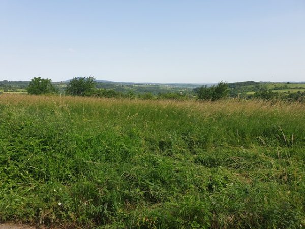 nekretnine avala kuce i placevi okolina beograda plac na avali tresnja1