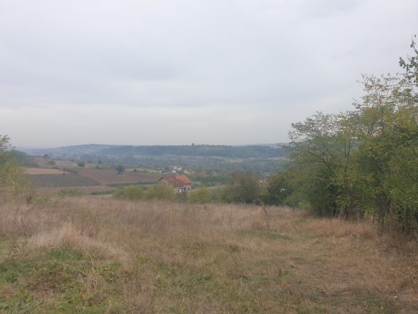 plac. avala. djudinci3